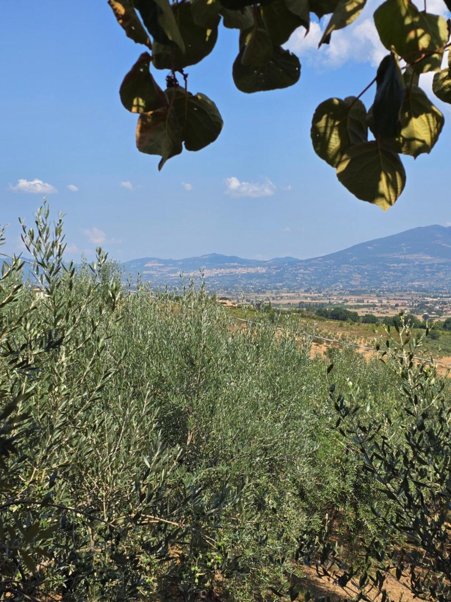 Dimora Kalipe Villa Limigiano Buitenkant foto