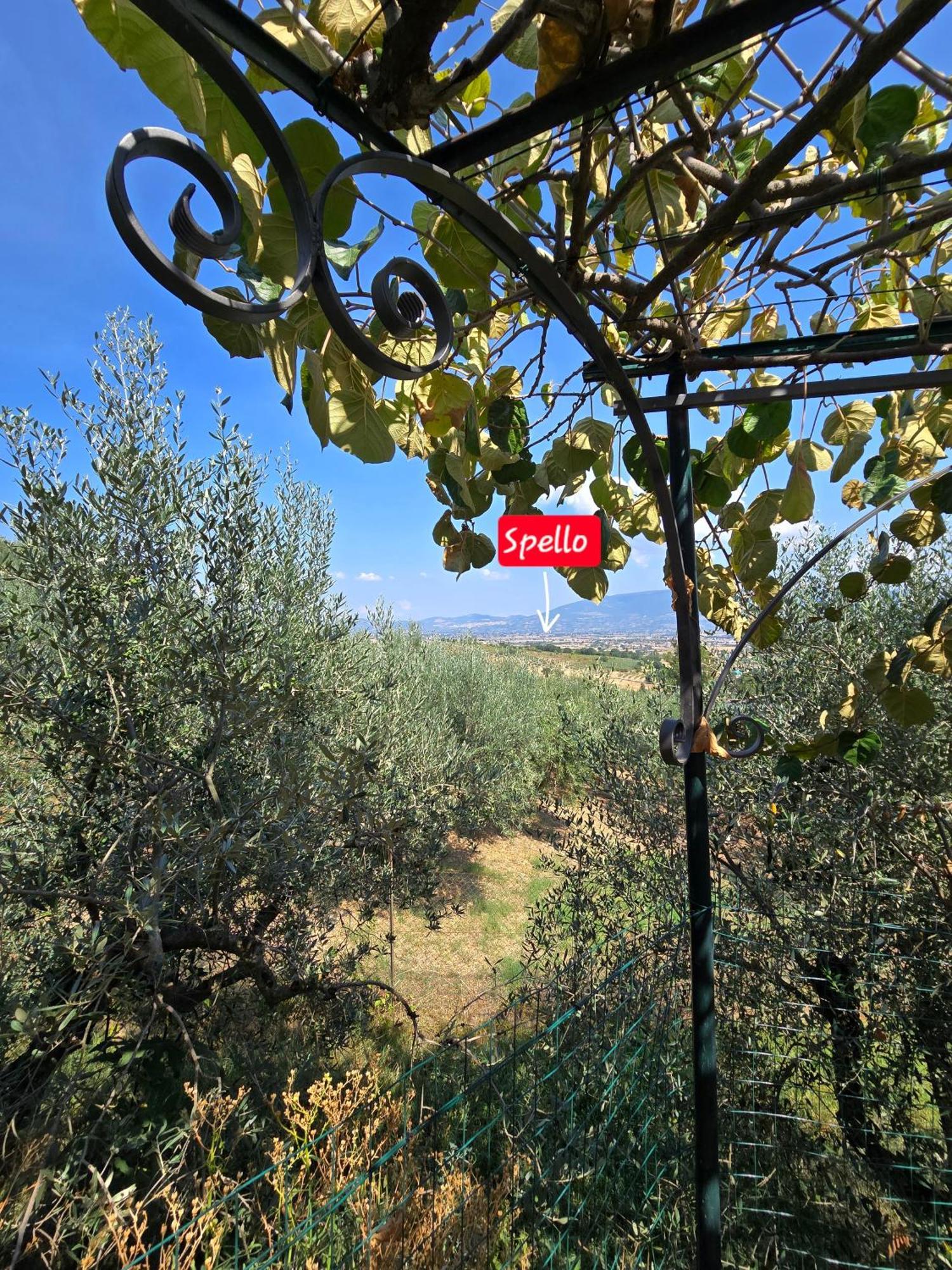 Dimora Kalipe Villa Limigiano Buitenkant foto